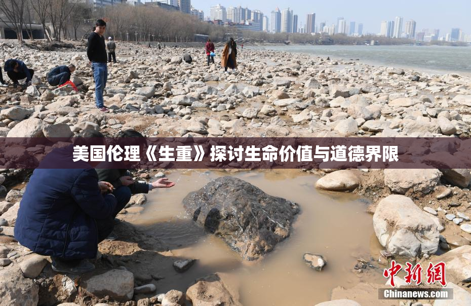 美国伦理《生重》探讨生命价值与道德界限