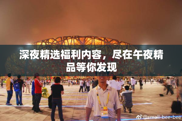 深夜精选福利内容，尽在午夜精品等你发现