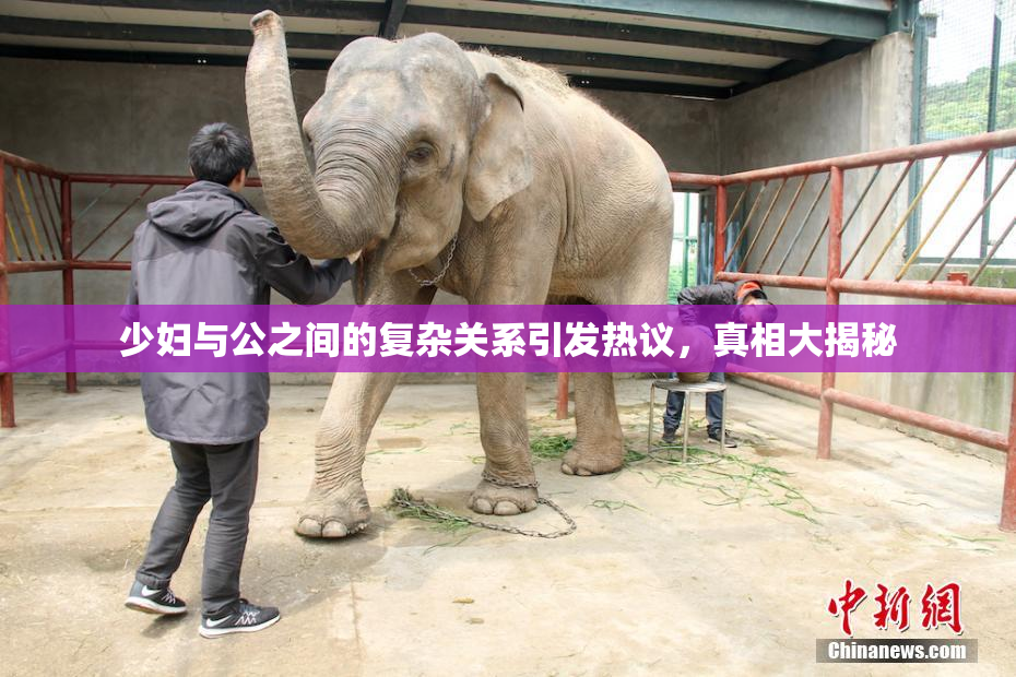 少妇与公之间的复杂关系引发热议，真相大揭秘