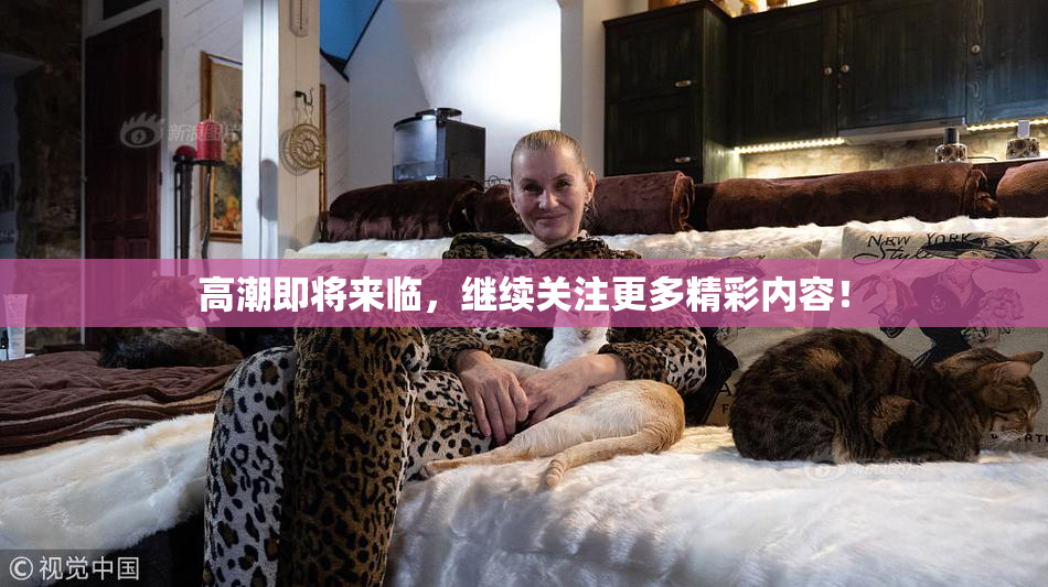 高潮即将来临，继续关注更多精彩内容！