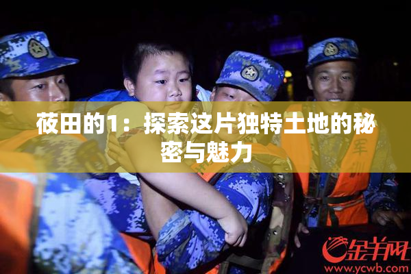 莜田的1：探索这片独特土地的秘密与魅力