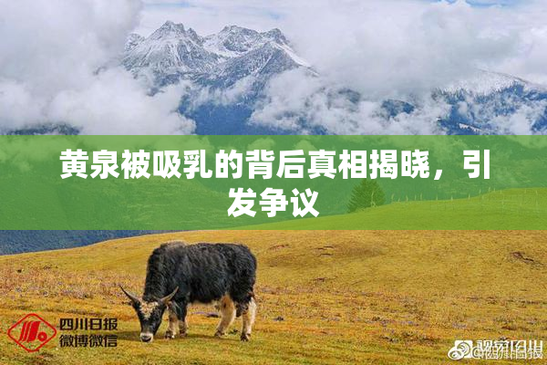 黄泉被吸乳的背后真相揭晓，引发争议