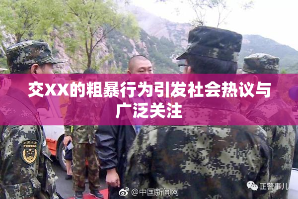 交XX的粗暴行为引发社会热议与广泛关注