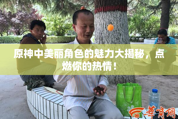 原神中美丽角色的魅力大揭秘，点燃你的热情！