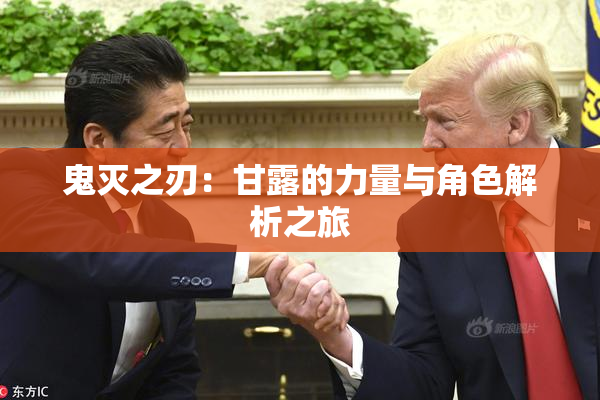 鬼灭之刃：甘露的力量与角色解析之旅