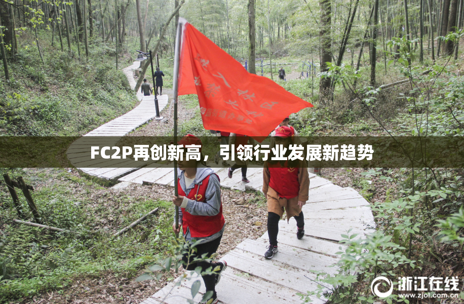 FC2P再创新高，引领行业发展新趋势