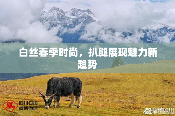白丝春季时尚，扒腿展现魅力新趋势