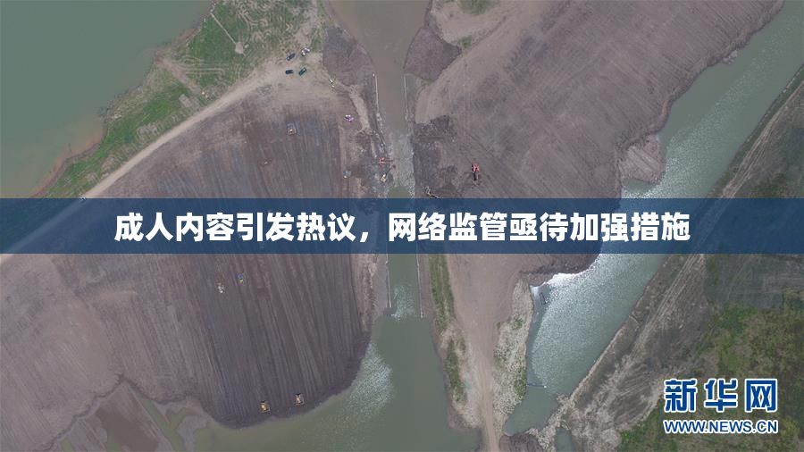 成人内容引发热议，网络监管亟待加强措施
