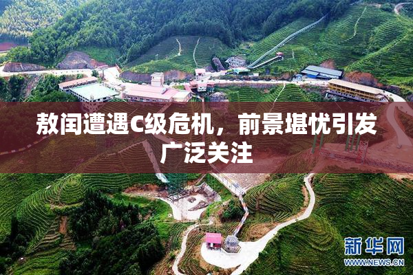 敖闰遭遇C级危机，前景堪忧引发广泛关注