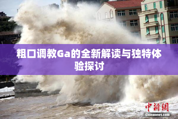 粗口调教Ga的全新解读与独特体验探讨