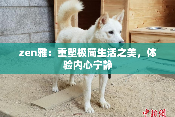 zen雅：重塑极简生活之美，体验内心宁静