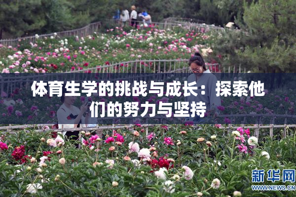 体育生学的挑战与成长：探索他们的努力与坚持