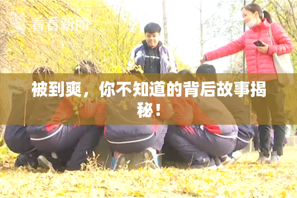 被到爽，你不知道的背后故事揭秘！
