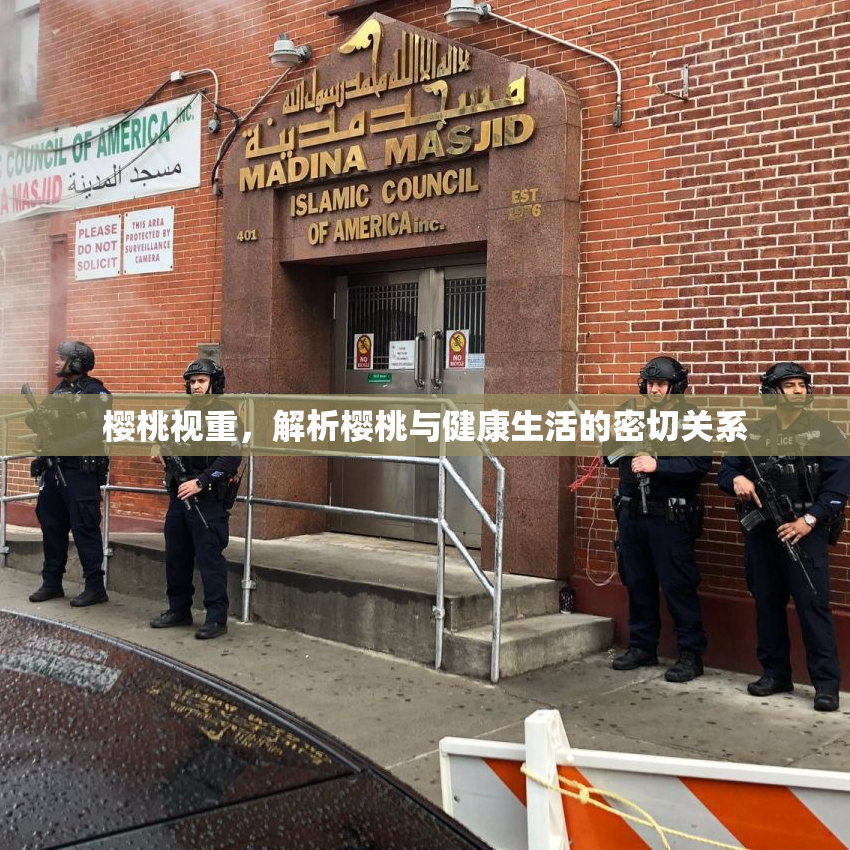 樱桃视重，解析樱桃与健康生活的密切关系