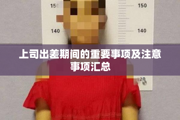 上司出差期间的重要事项及注意事项汇总