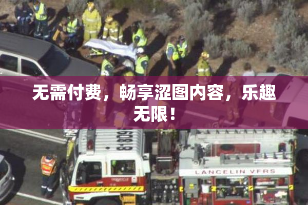 无需付费，畅享涩图内容，乐趣无限！