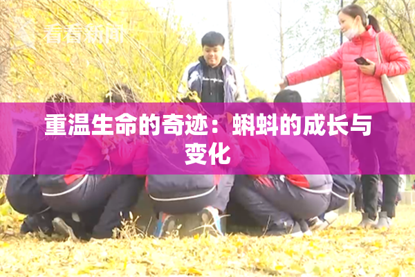 重温生命的奇迹：蝌蚪的成长与变化
