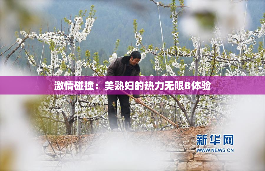 激情碰撞：美熟妇的热力无限B体验