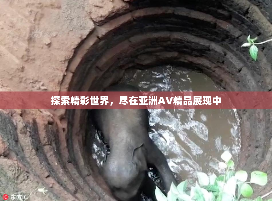 探索精彩世界，尽在亚洲AV精品展现中
