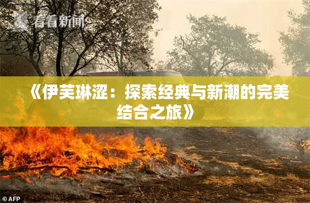 《伊芙琳涩：探索经典与新潮的完美结合之旅》
