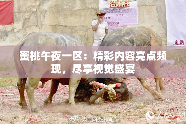 蜜桃午夜一区：精彩内容亮点频现，尽享视觉盛宴