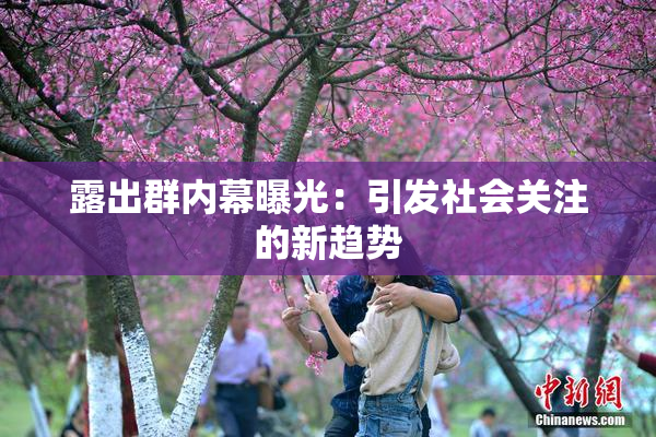 露出群内幕曝光：引发社会关注的新趋势