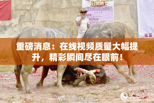 重磅消息：在线视频质量大幅提升，精彩瞬间尽在眼前！