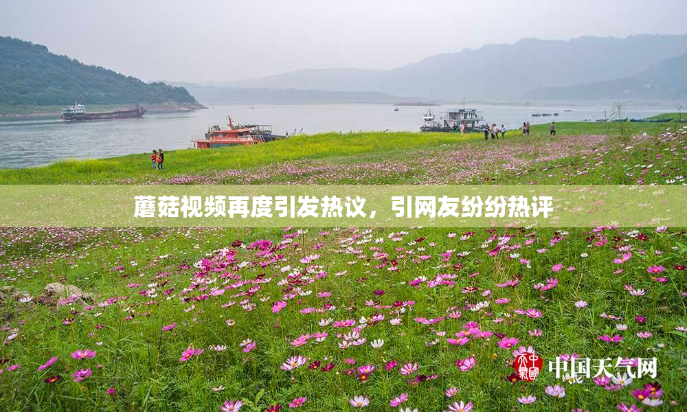 蘑菇视频再度引发热议，引网友纷纷热评