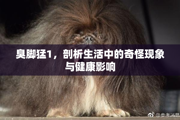 臭脚猛1，剖析生活中的奇怪现象与健康影响