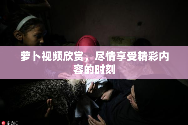 萝卜视频欣赏，尽情享受精彩内容的时刻