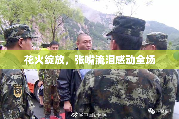 花火绽放，张嘴流泪感动全场