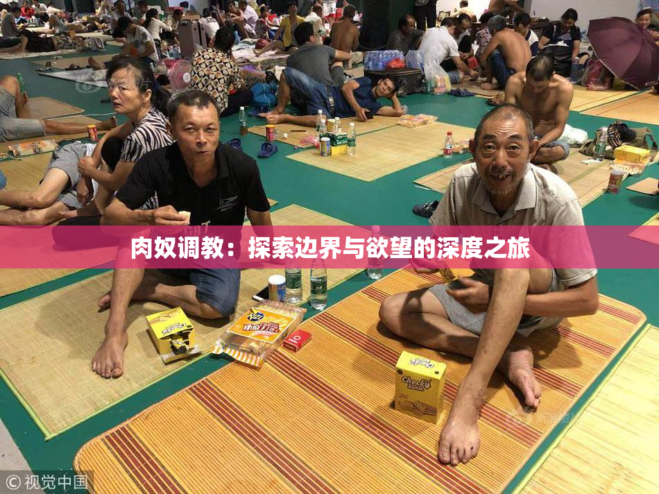 肉奴调教：探索边界与欲望的深度之旅