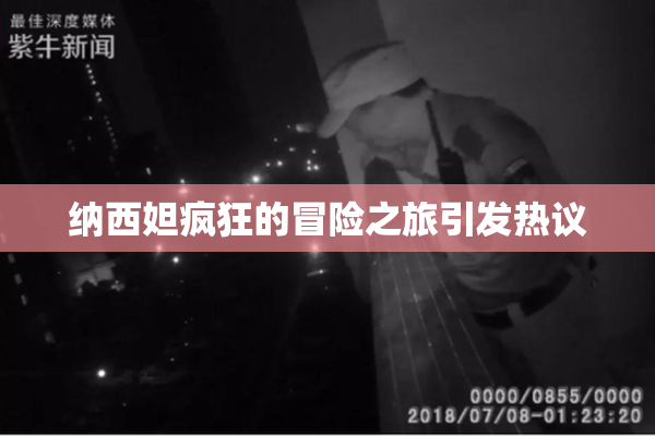 纳西妲疯狂的冒险之旅引发热议