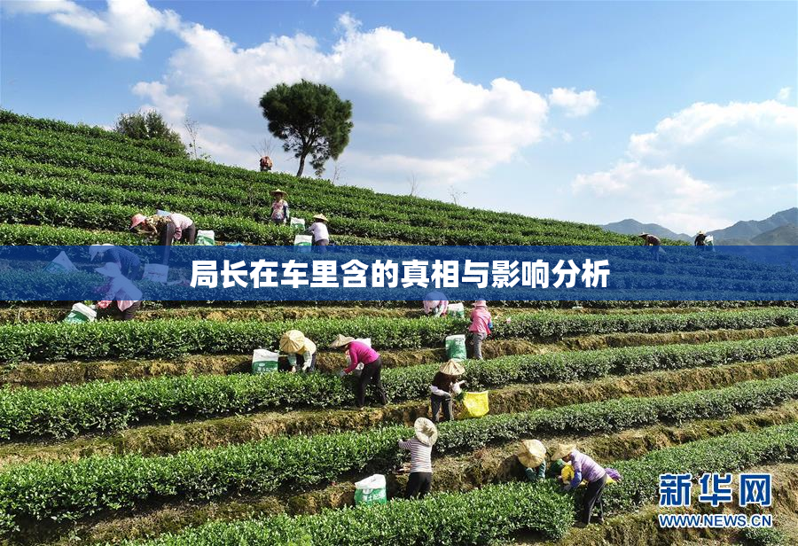 局长在车里含的真相与影响分析