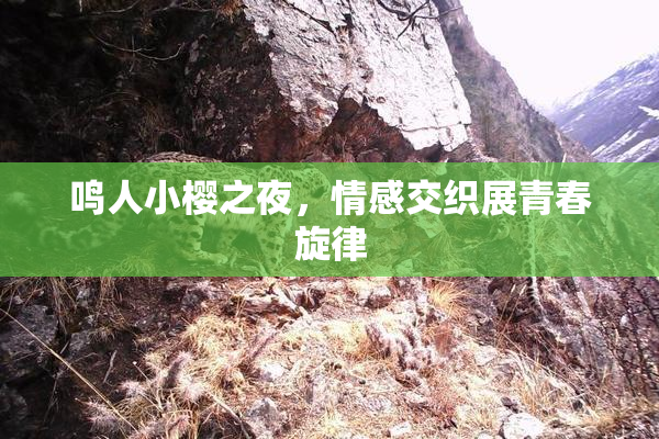 鸣人小樱之夜，情感交织展青春旋律