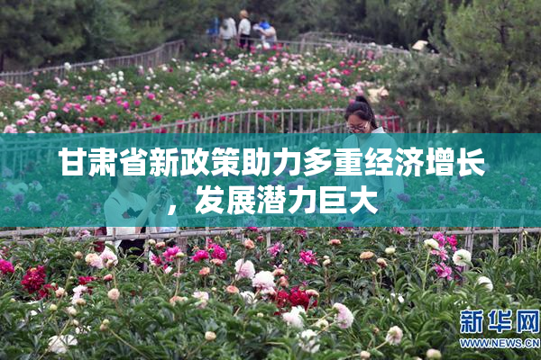 甘肃省新政策助力多重经济增长，发展潜力巨大