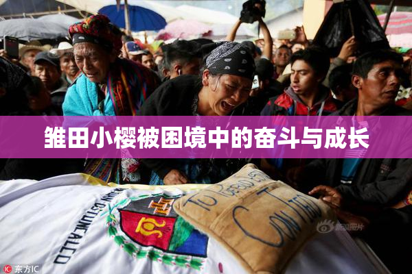 雏田小樱被困境中的奋斗与成长