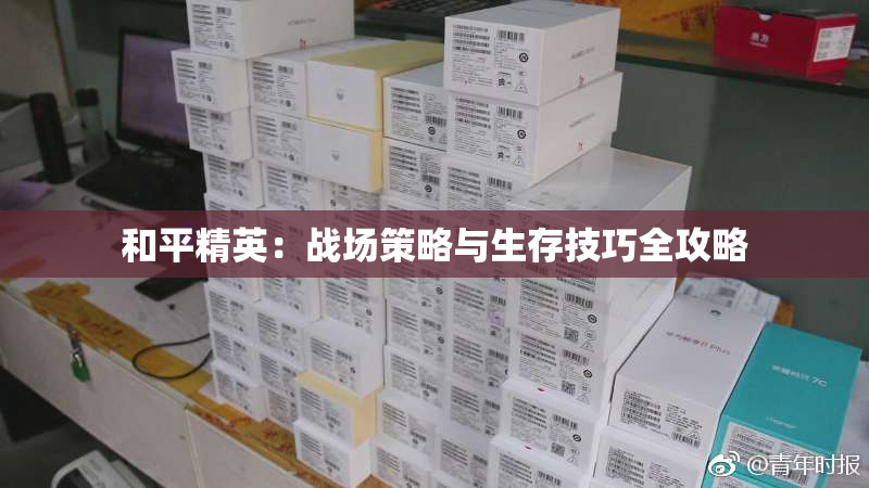 和平精英：战场策略与生存技巧全攻略