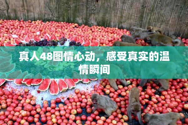真人48图情心动，感受真实的温情瞬间