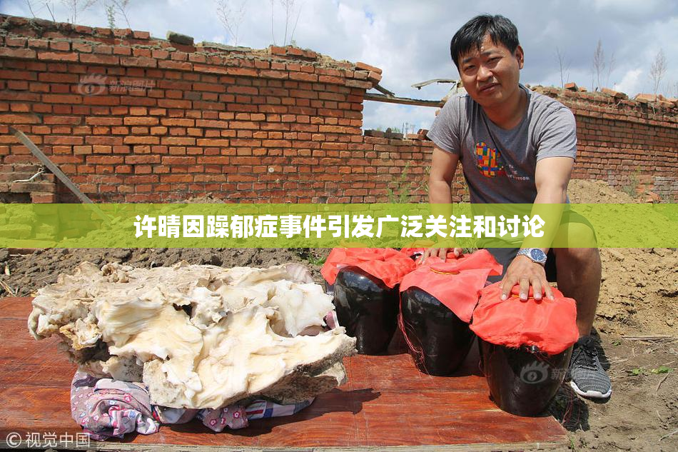 许晴因躁郁症事件引发广泛关注和讨论
