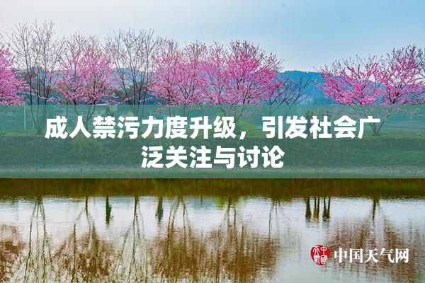 成人禁污力度升级，引发社会广泛关注与讨论
