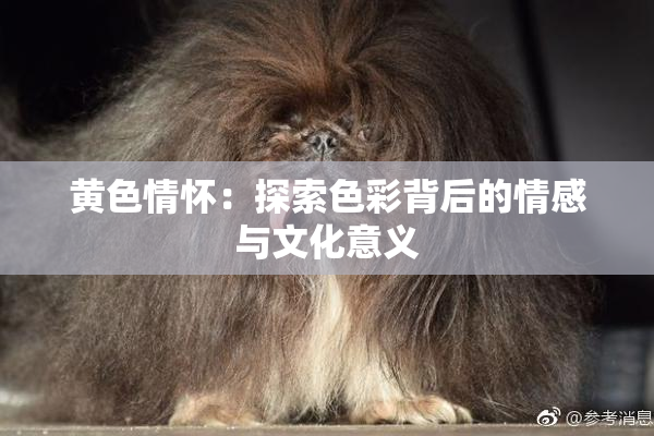 黄色情怀：探索色彩背后的情感与文化意义