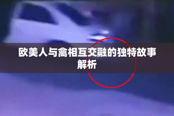 欧美人与禽相互交融的独特故事解析