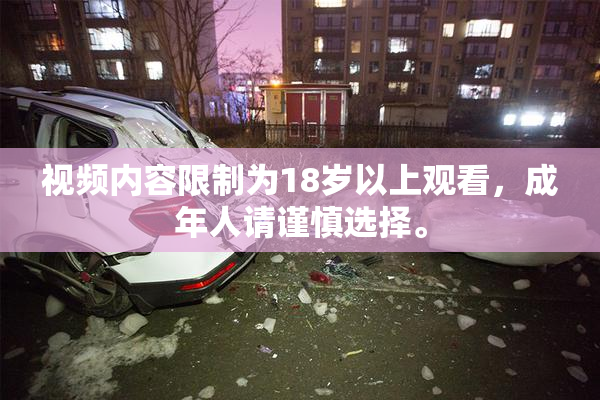 视频内容限制为18岁以上观看，成年人请谨慎选择。