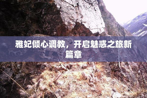 雅妃倾心调教，开启魅惑之旅新篇章