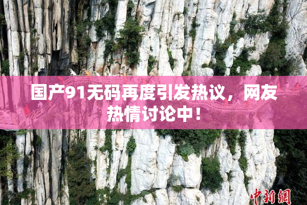 国产91无码再度引发热议，网友热情讨论中！