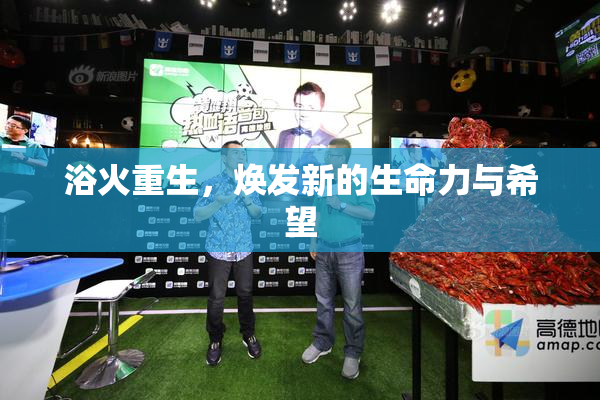 浴火重生，焕发新的生命力与希望
