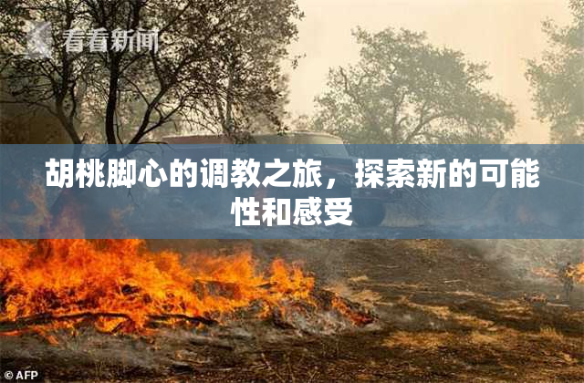 胡桃脚心的调教之旅，探索新的可能性和感受
