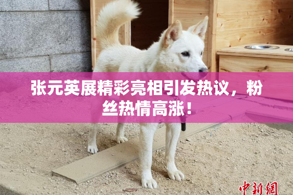 张元英展精彩亮相引发热议，粉丝热情高涨！