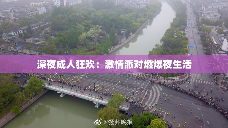 深夜成人狂欢：激情派对燃爆夜生活